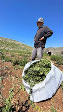 Last inn bildet i Galleri-visningsprogrammet, Kufiya-skjerf fra Nablus
