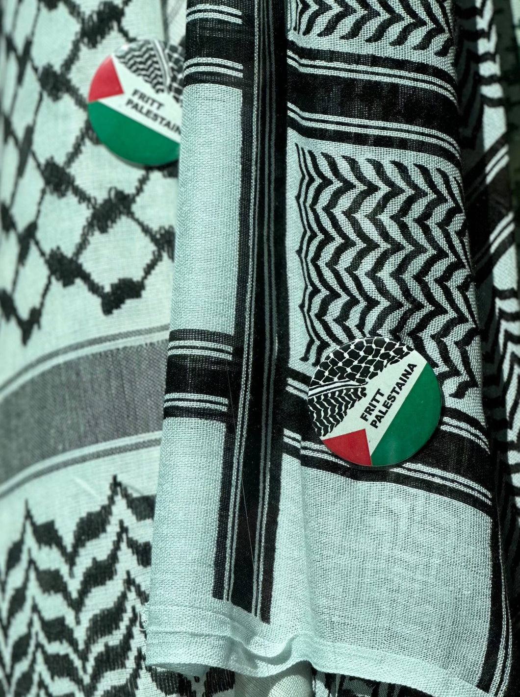 Fritt Palestina button