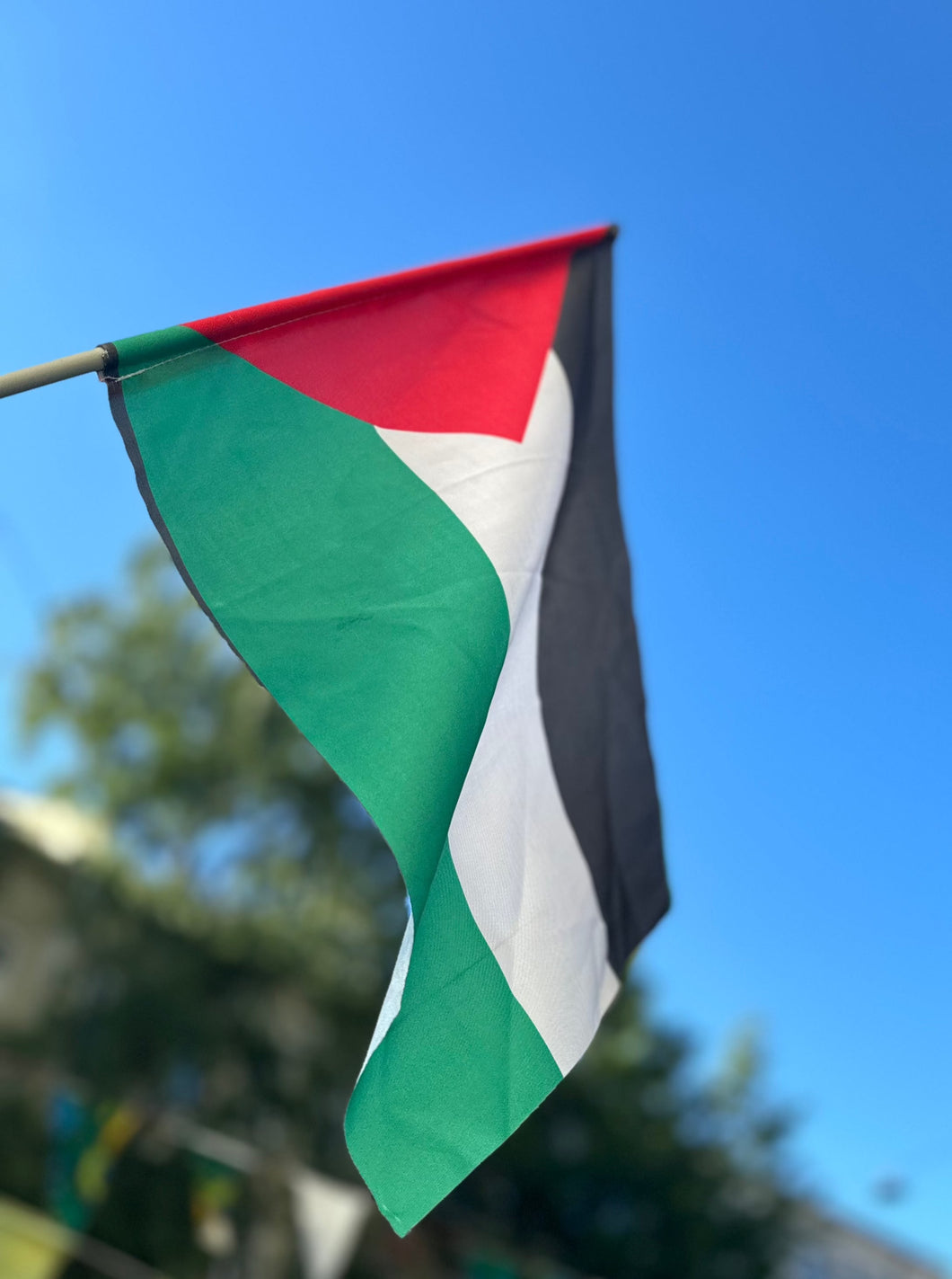 Palestina flagg (håndholdt)